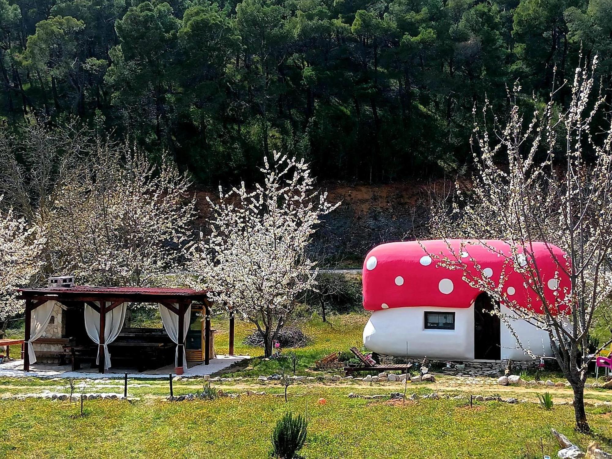 Krka Fairytale Village Rupe Room photo
